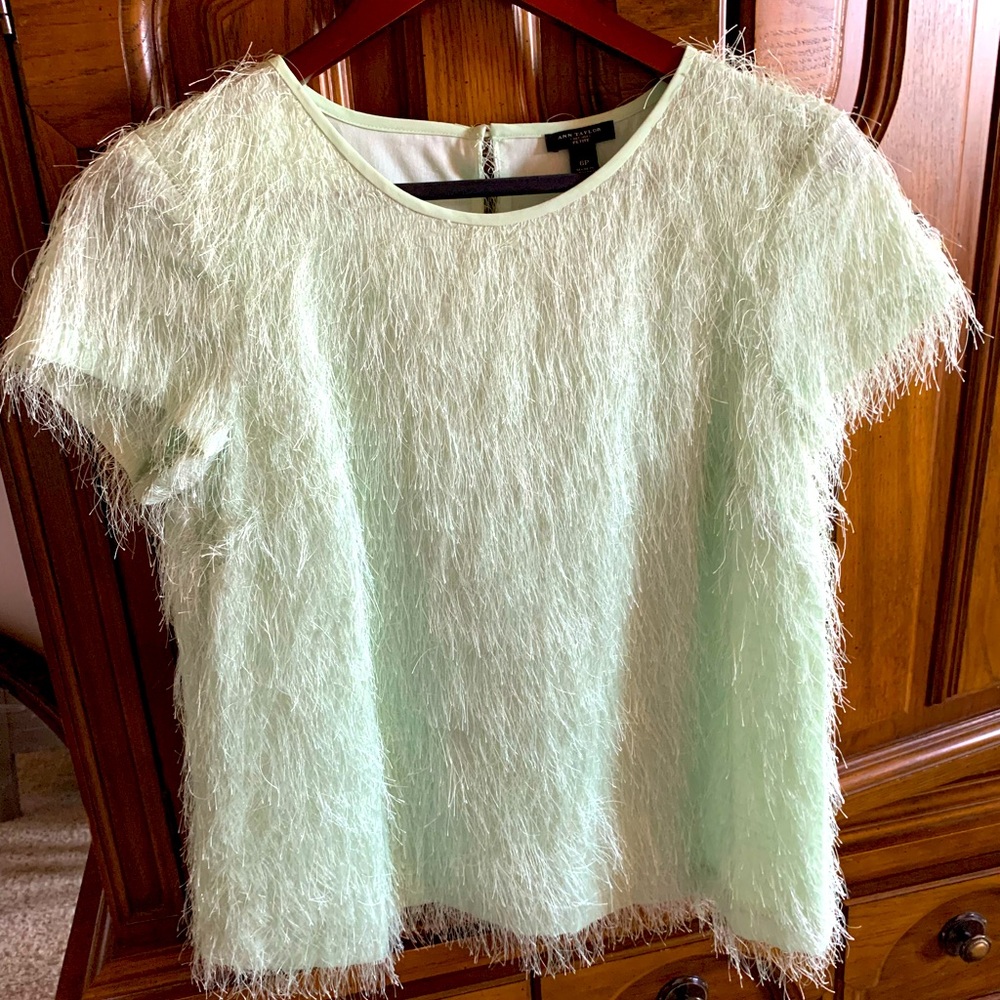 Ann Taylor mint green short sleeve sweater
